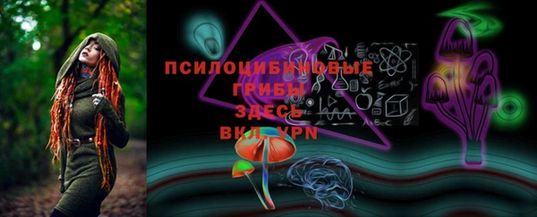 гашик Вяземский