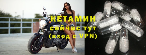 гашик Вяземский
