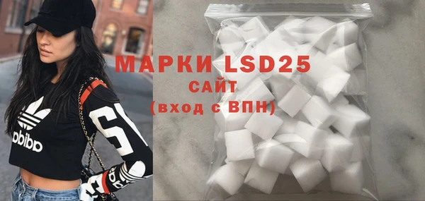 ECSTASY Горняк