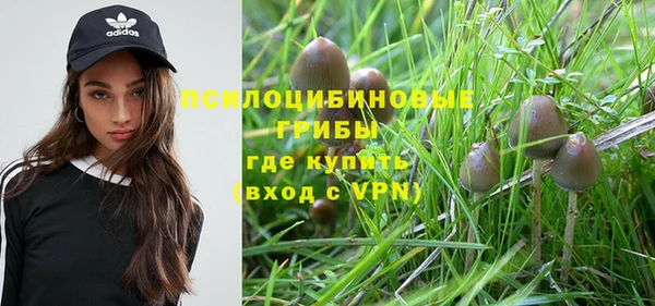 спайс Володарск
