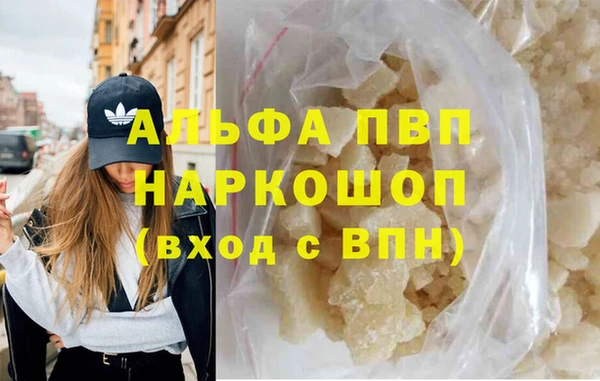 гашик Вяземский
