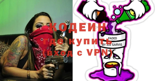 гашик Вяземский